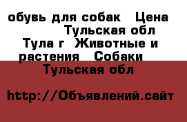 обувь для собак › Цена ­ 250-00 - Тульская обл., Тула г. Животные и растения » Собаки   . Тульская обл.